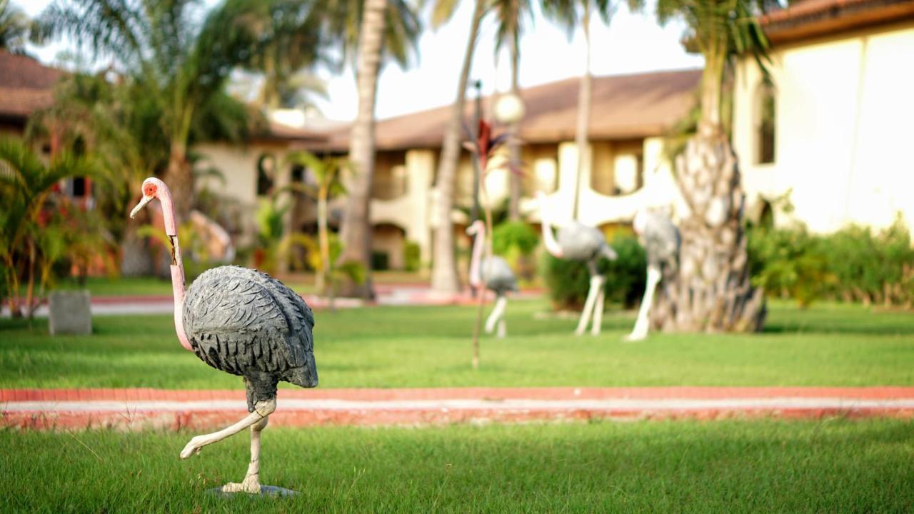 Ocean Bay Hotel & Resort Bakau エクステリア 写真